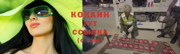СК Арсеньев