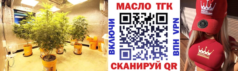 mega ONION  Шадринск  Дистиллят ТГК THC oil 