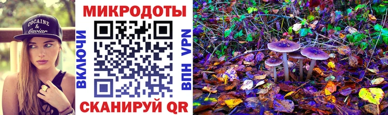 Псилоцибиновые грибы ЛСД  где купить наркоту  Шадринск 